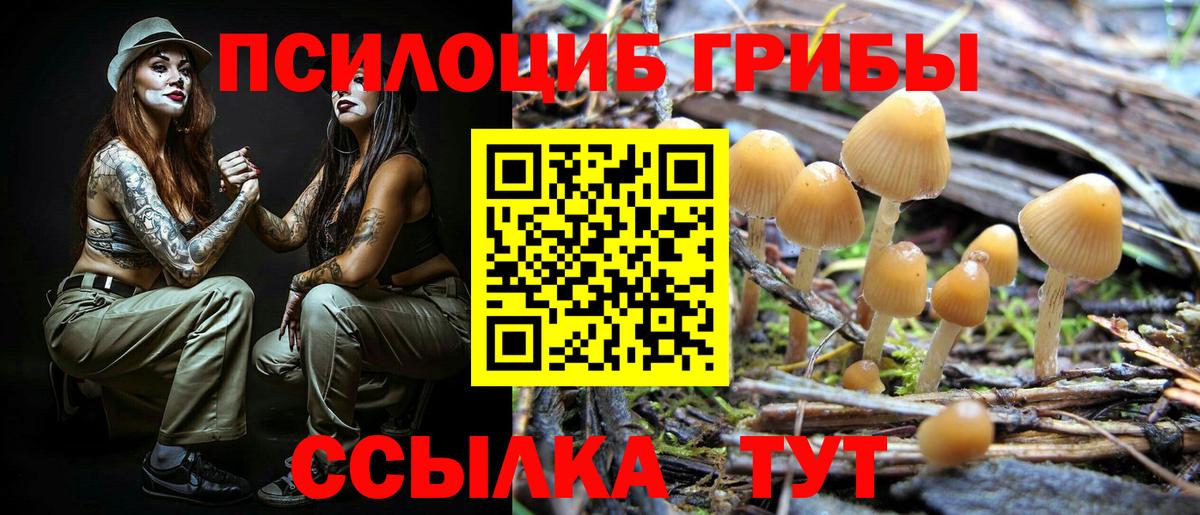 Псилоцибиновые грибы прущие грибы  Галлюциногенные грибы Psilocybine cubensis  Вход с VPN  Уссурийск 